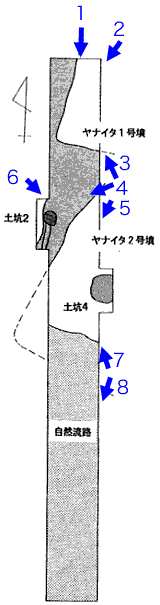 図2　調査区の概略図（S=1/300）