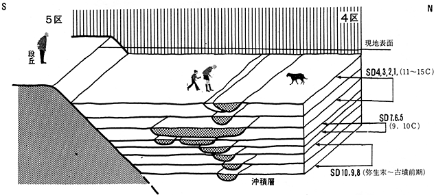 溝群模式図