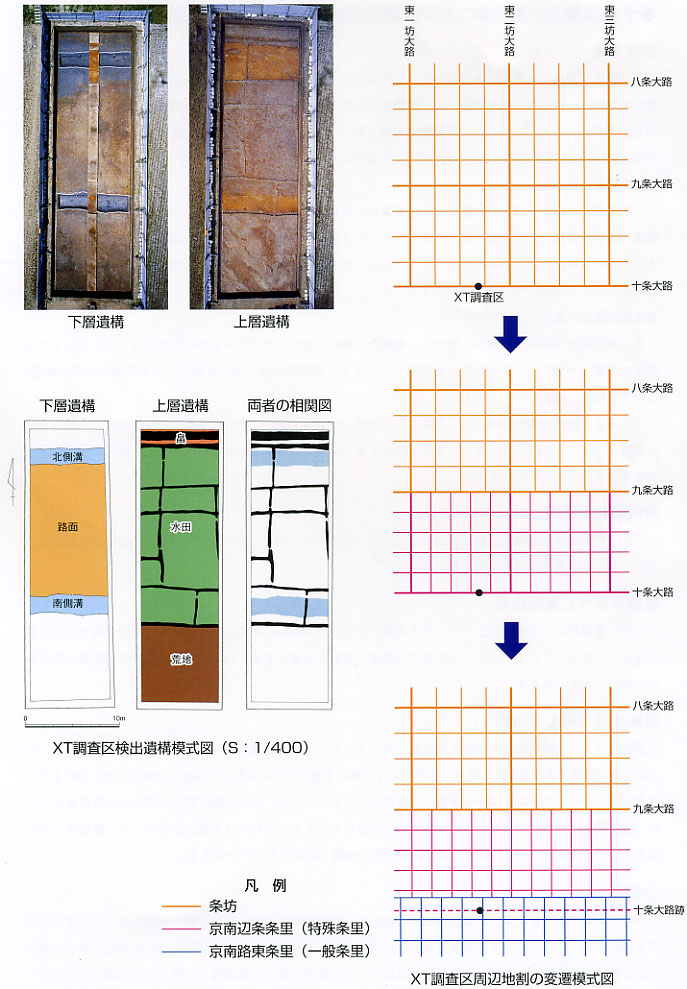 XW調査区遺構全体図（S：1/250）