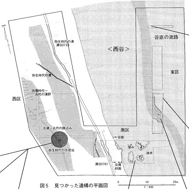 平面図