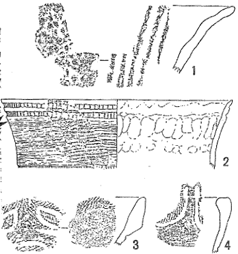 図6