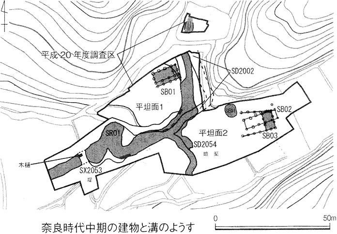 調査地全体図