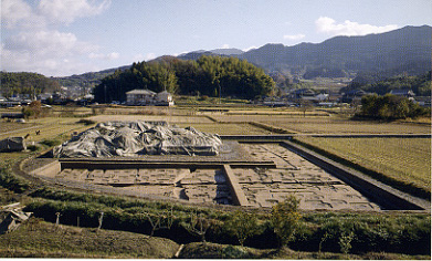 調査区全景（西から）