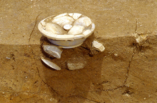 土器埋設遺構（7世紀末〜8世紀初頭・南から）