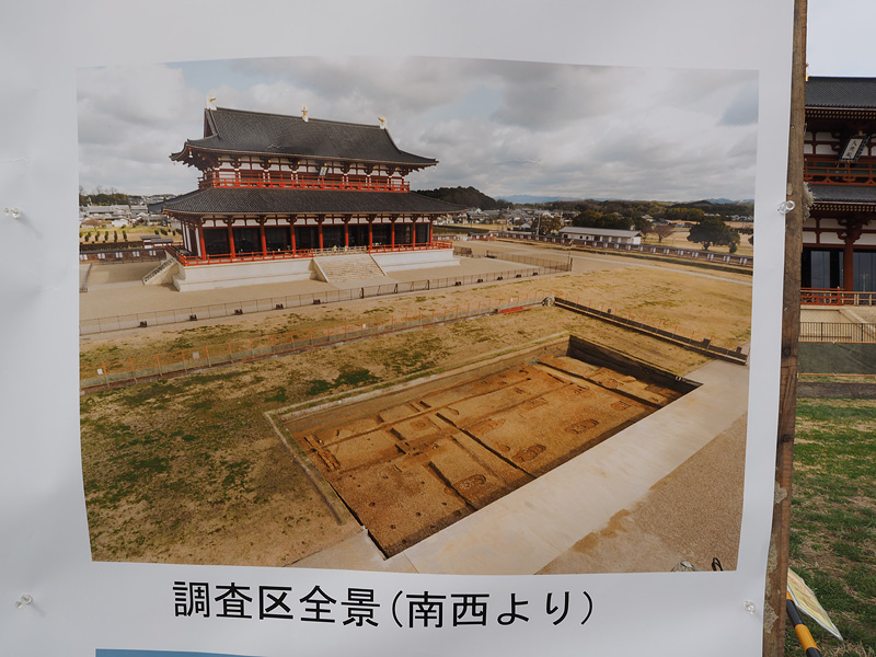 調査区全景（南西より）