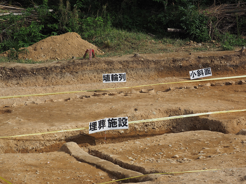 造り出し東辺　埴輪列