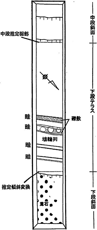 図6　19-5トレンチ模式図（S = 1/100）