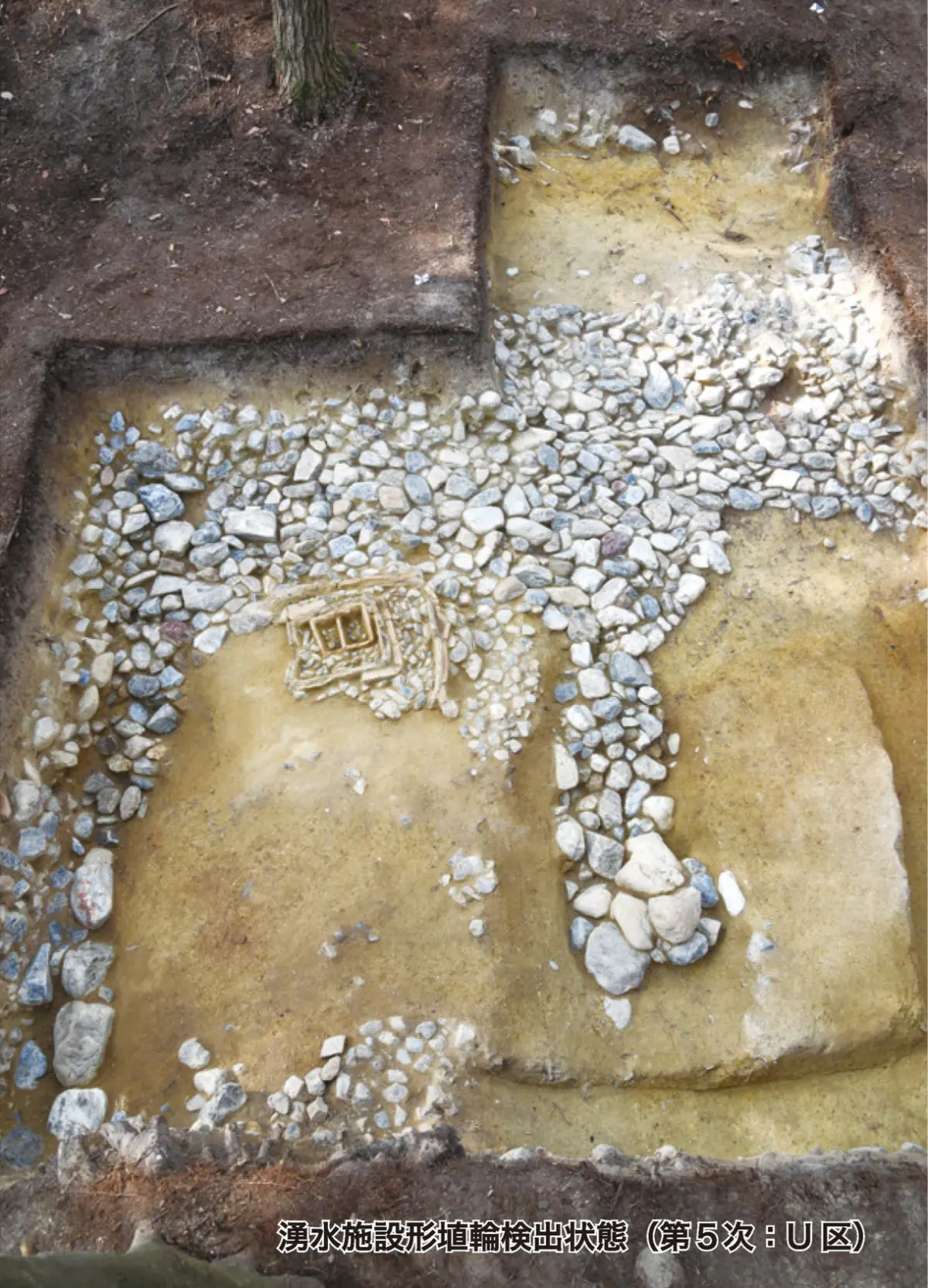 湧水施設形埴輪検出状態の写真（第5次：U区）