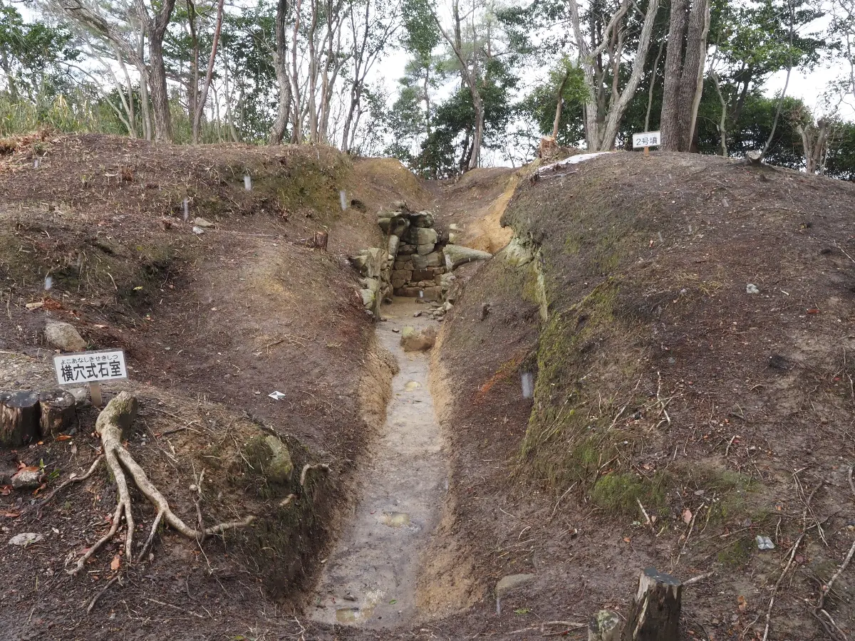 2号墳　横穴式石室　南から