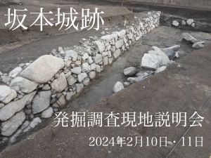 坂本城跡石積み（2025/05/10）の写真